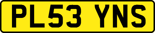 PL53YNS