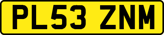 PL53ZNM