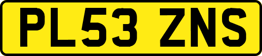 PL53ZNS