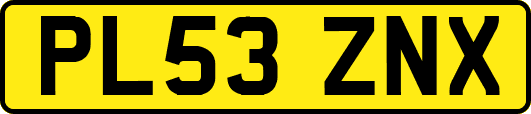 PL53ZNX
