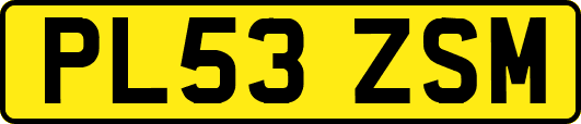 PL53ZSM