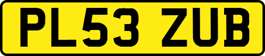 PL53ZUB