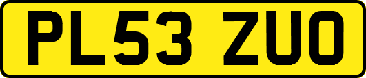 PL53ZUO