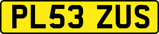 PL53ZUS