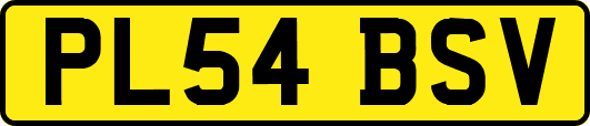 PL54BSV