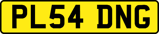 PL54DNG