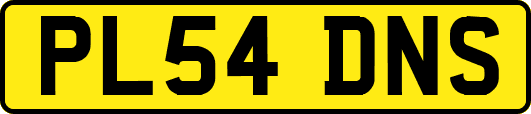 PL54DNS