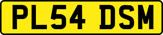 PL54DSM