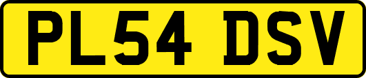 PL54DSV