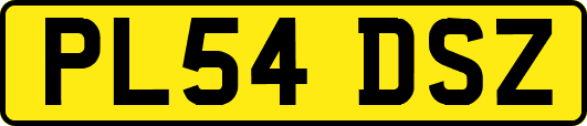 PL54DSZ