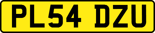 PL54DZU