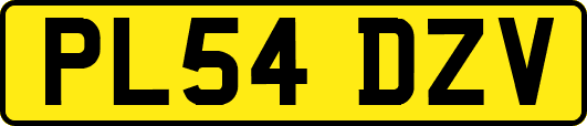 PL54DZV