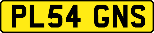 PL54GNS