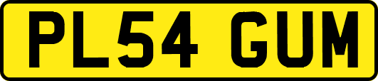 PL54GUM