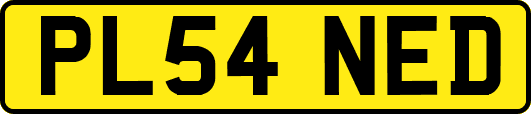 PL54NED