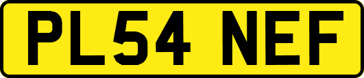 PL54NEF