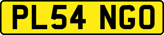 PL54NGO
