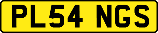PL54NGS