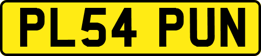 PL54PUN