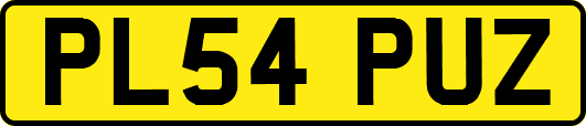 PL54PUZ
