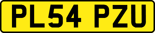 PL54PZU