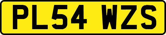 PL54WZS