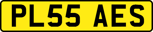 PL55AES
