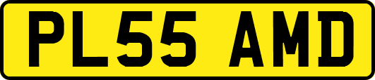 PL55AMD