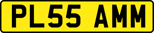 PL55AMM