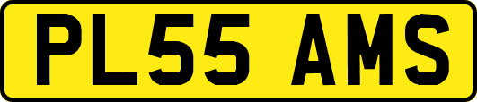 PL55AMS
