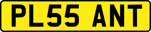 PL55ANT