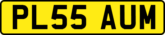 PL55AUM