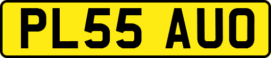 PL55AUO