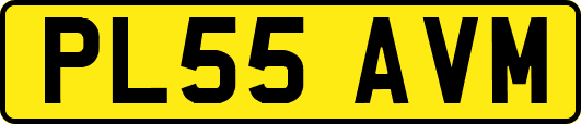 PL55AVM