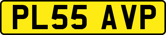 PL55AVP