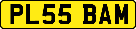PL55BAM