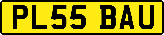 PL55BAU