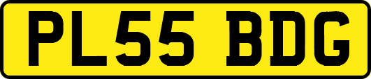 PL55BDG