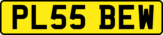 PL55BEW