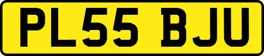 PL55BJU