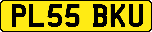 PL55BKU