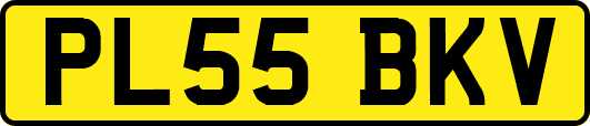PL55BKV