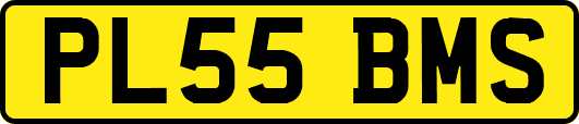 PL55BMS