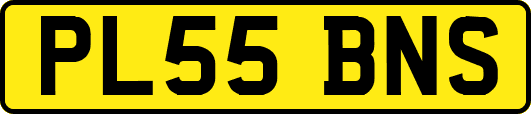 PL55BNS
