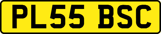 PL55BSC
