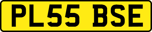 PL55BSE