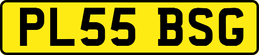 PL55BSG