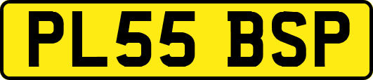 PL55BSP