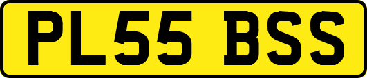 PL55BSS