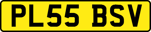 PL55BSV